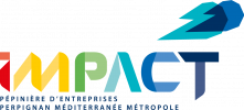 Logo-impact-2023-RVB-1
